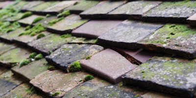 Beechwood roof repair costs